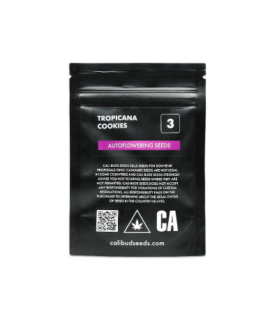 Семена сорта Tropicana Cookies Auto fem (Cali Buds Seeds)