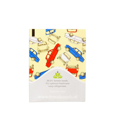 Семена сорта Auto NL fem (Female Seeds)