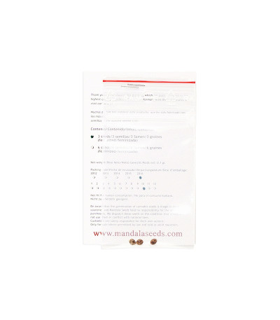 Семена сорта Purple Paro Valley fem