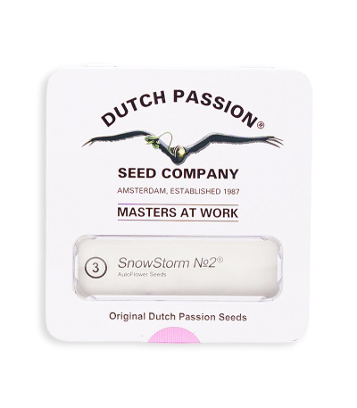 Семена сорта Snow Storm #2 (Dutch Passion)