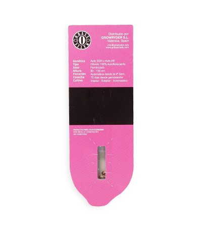 Семена сорта Maxi Haze auto fem