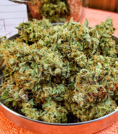 Семена сорта Smoothie Auto fem (FastBuds)