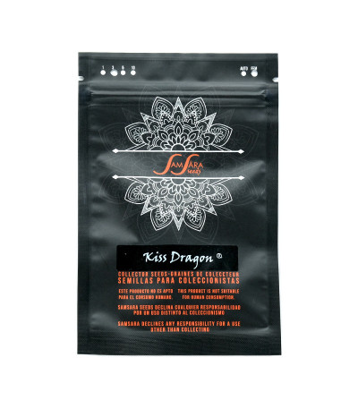 Семена сорта Kiss Dragon fem (Samsara Seeds)