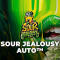 Семена сорта Sour Jealousy Auto fem (FastBuds)