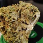 watermelon-zkittlez-fem-barneys-farm.jpg