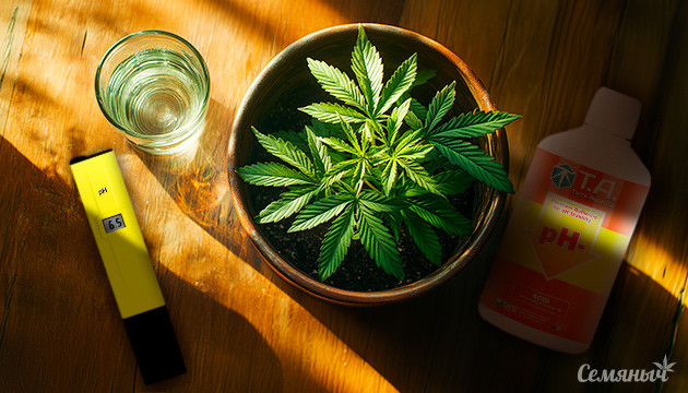 Измерение кислотно-щелочного баланса почвы