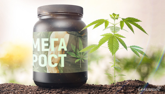 Удобрение для роста конопли