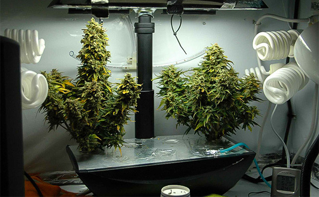 Соберите гроубокс своими руками